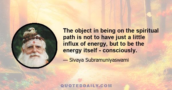 The object in being on the spiritual path is not to have just a little influx of energy, but to be the energy itself - consciously.