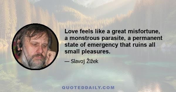 Love feels like a great misfortune, a monstrous parasite, a permanent state of emergency that ruins all small pleasures.