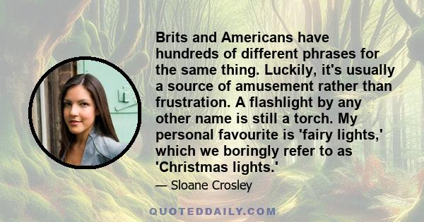 Brits and Americans have hundreds of different phrases for the same thing. Luckily, it's usually a source of amusement rather than frustration. A flashlight by any other name is still a torch. My personal favourite is