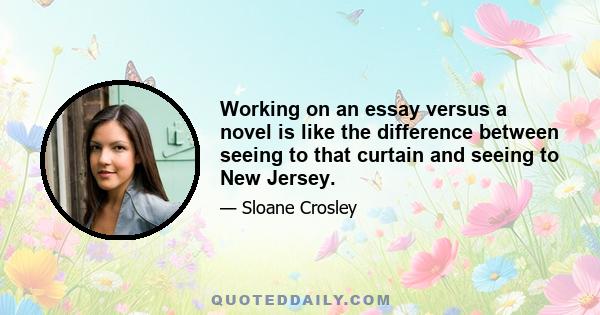 Working on an essay versus a novel is like the difference between seeing to that curtain and seeing to New Jersey.