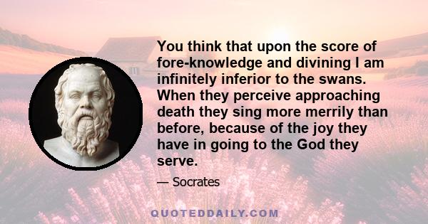 You think that upon the score of fore-knowledge and divining I am infinitely inferior to the swans. When they perceive approaching death they sing more merrily than before, because of the joy they have in going to the