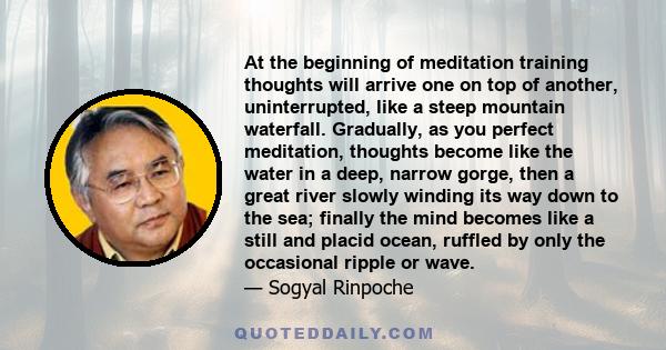 At the beginning of meditation training thoughts will arrive one on top of another, uninterrupted, like a steep mountain waterfall. Gradually, as you perfect meditation, thoughts become like the water in a deep, narrow