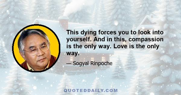 This dying forces you to look into yourself. And in this, compassion is the only way. Love is the only way.