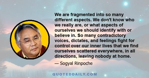 We are fragmented into so many different aspects. We don't know who we really are, or what aspects of ourselves we should identify with or believe in. So many contradictory voices, dictates, and feelings fight for