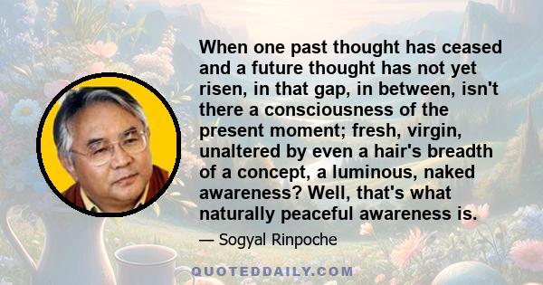 When one past thought has ceased and a future thought has not yet risen, in that gap, in between, isn't there a consciousness of the present moment; fresh, virgin, unaltered by even a hair's breadth of a concept, a