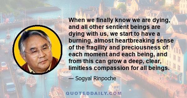 When we finally know we are dying, and all other sentient beings are dying with us, we start to have a burning, almost heartbreaking sense of the fragility and preciousness of each moment and each being, and from this