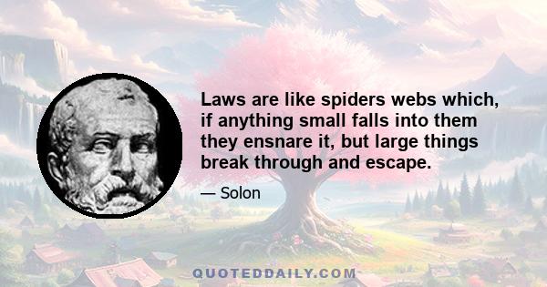 Laws are like spiders webs which, if anything small falls into them they ensnare it, but large things break through and escape.