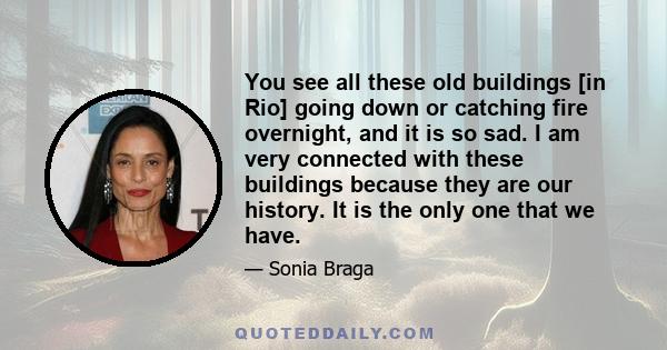 You see all these old buildings [in Rio] going down or catching fire overnight, and it is so sad. I am very connected with these buildings because they are our history. It is the only one that we have.