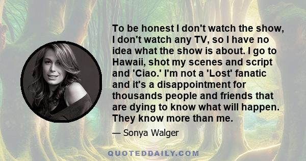 To be honest I don't watch the show, I don't watch any TV, so I have no idea what the show is about. I go to Hawaii, shot my scenes and script and 'Ciao.' I'm not a 'Lost' fanatic and it's a disappointment for thousands 