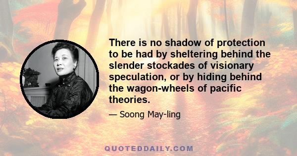 There is no shadow of protection to be had by sheltering behind the slender stockades of visionary speculation, or by hiding behind the wagon-wheels of pacific theories.