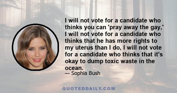 I will not vote for a candidate who thinks you can 'pray away the gay,' I will not vote for a candidate who thinks that he has more rights to my uterus than I do, I will not vote for a candidate who thinks that it's