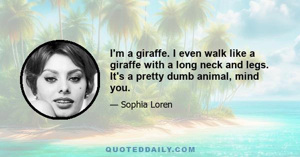 I'm a giraffe. I even walk like a giraffe with a long neck and legs. It's a pretty dumb animal, mind you.