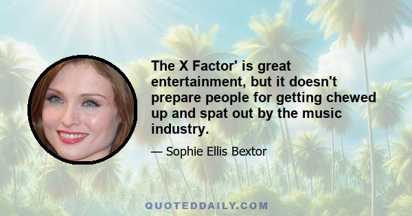 The X Factor' is great entertainment, but it doesn't prepare people for getting chewed up and spat out by the music industry.