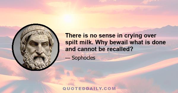 There is no sense in crying over spilt milk. Why bewail what is done and cannot be recalled?