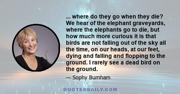 ... where do they go when they die? We hear of the elephant graveyards, where the elephants go to die, but how much more curious it is that birds are not falling out of the sky all the time, on our heads, at our feet,