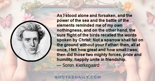 As I stood alone and forsaken, and the power of the sea and the battle of the elements reminded me of my own nothingness, and on the other hand, the sure flight of the birds recalled the words spoken by Christ: Not a