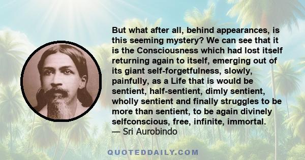 But what after all, behind appearances, is this seeming mystery? We can see that it is the Consciousness which had lost itself returning again to itself, emerging out of its giant self-forgetfulness, slowly, painfully,