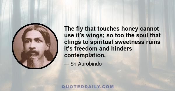 The fly that touches honey cannot use it's wings; so too the soul that clings to spiritual sweetness ruins it's freedom and hinders contemplation.