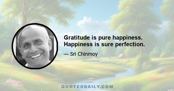 Gratitude is pure happiness. Happiness is sure perfection.