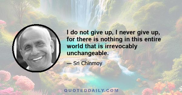 I do not give up, I never give up, for there is nothing in this entire world that is irrevocably unchangeable.