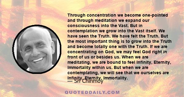 Through concentration we become one-pointed and through meditation we expand our consciousness into the Vast. But in contemplation we grow into the Vast itself. We have seen the Truth. We have felt the Truth. But the