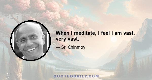 When I meditate, I feel I am vast, very vast.