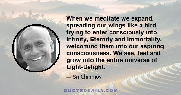 When we meditate we expand, spreading our wings like a bird, trying to enter consciously into Infinity, Eternity and Immortality, welcoming them into our aspiring consciousness. We see, feel and grow into the entire