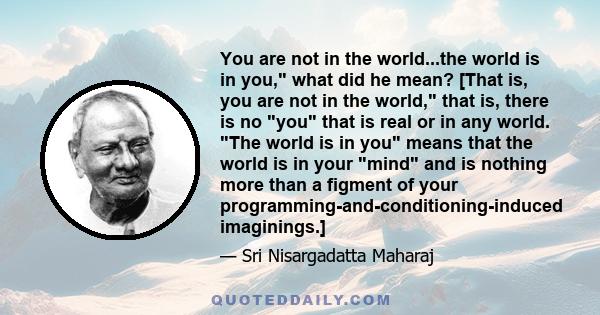 You are not in the world...the world is in you, what did he mean? [That is, you are not in the world, that is, there is no you that is real or in any world. The world is in you means that the world is in your mind and