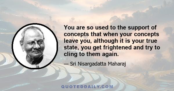 You are so used to the support of concepts that when your concepts leave you, although it is your true state, you get frightened and try to cling to them again.