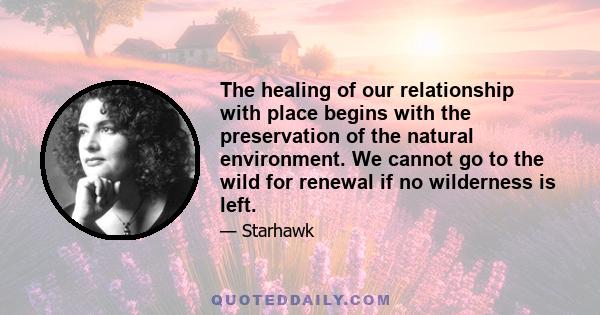 The healing of our relationship with place begins with the preservation of the natural environment. We cannot go to the wild for renewal if no wilderness is left.