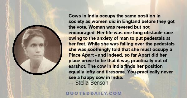 Cows in India occupy the same position in society as women did in England before they got the vote. Woman was revered but not encouraged. Her life was one long obstacle race owing to the anxiety of man to put pedestals