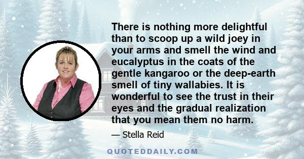 There is nothing more delightful than to scoop up a wild joey in your arms and smell the wind and eucalyptus in the coats of the gentle kangaroo or the deep-earth smell of tiny wallabies. It is wonderful to see the