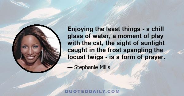 Enjoying the least things - a chill glass of water, a moment of play with the cat, the sight of sunlight caught in the frost spangling the locust twigs - is a form of prayer.