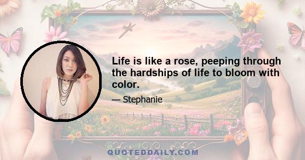 Life is like a rose, peeping through the hardships of life to bloom with color.