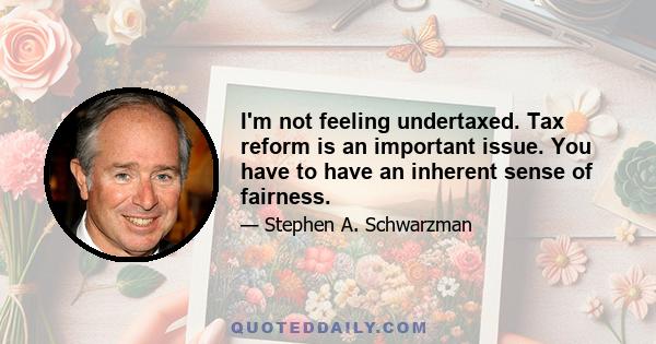 I'm not feeling undertaxed. Tax reform is an important issue. You have to have an inherent sense of fairness.