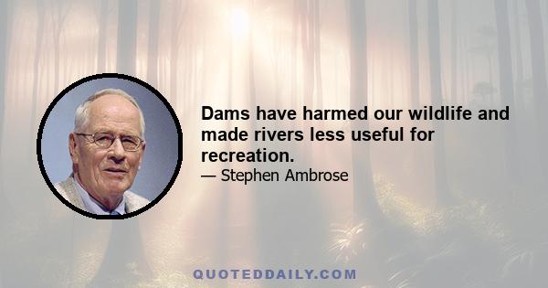 Dams have harmed our wildlife and made rivers less useful for recreation.