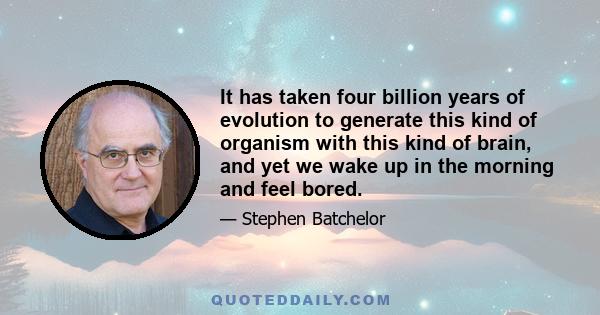 It has taken four billion years of evolution to generate this kind of organism with this kind of brain, and yet we wake up in the morning and feel bored.