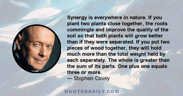 Synergy is everywhere in nature. If you plant two plants close together, the roots commingle and improve the quality of the soil so that both plants will grow better than if they were separated. If you put two pieces of 