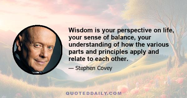 Wisdom is your perspective on life, your sense of balance, your understanding of how the various parts and principles apply and relate to each other.