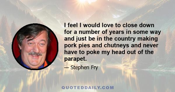 I feel I would love to close down for a number of years in some way and just be in the country making pork pies and chutneys and never have to poke my head out of the parapet.