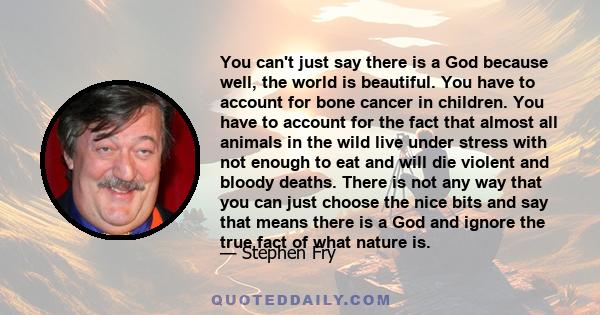 You can't just say there is a God because well, the world is beautiful. You have to account for bone cancer in children. You have to account for the fact that almost all animals in the wild live under stress with not