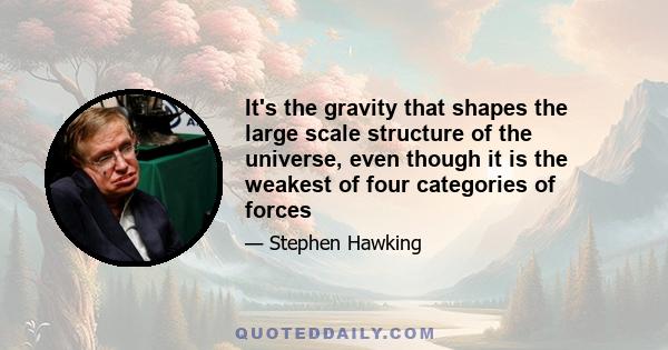 It's the gravity that shapes the large scale structure of the universe, even though it is the weakest of four categories of forces