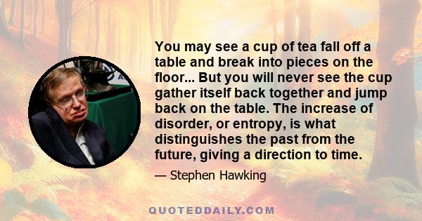 You may see a cup of tea fall off a table and break into pieces on the floor... But you will never see the cup gather itself back together and jump back on the table. The increase of disorder, or entropy, is what