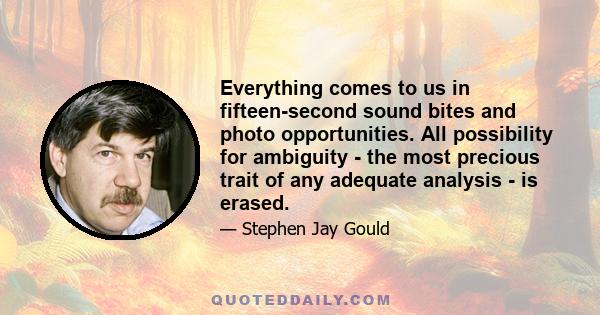 Everything comes to us in fifteen-second sound bites and photo opportunities. All possibility for ambiguity - the most precious trait of any adequate analysis - is erased.