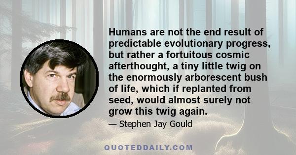 Humans are not the end result of predictable evolutionary progress, but rather a fortuitous cosmic afterthought, a tiny little twig on the enormously arborescent bush of life, which if replanted from seed, would almost