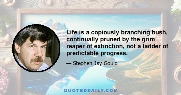 Life is a copiously branching bush, continually pruned by the grim reaper of extinction, not a ladder of predictable progress.