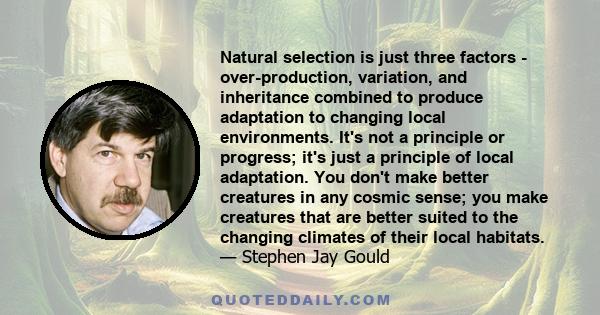 Natural selection is just three factors - over-production, variation, and inheritance combined to produce adaptation to changing local environments. It's not a principle or progress; it's just a principle of local