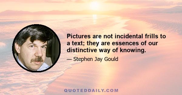 Pictures are not incidental frills to a text; they are essences of our distinctive way of knowing.