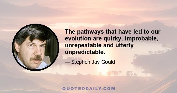 The pathways that have led to our evolution are quirky, improbable, unrepeatable and utterly unpredictable.