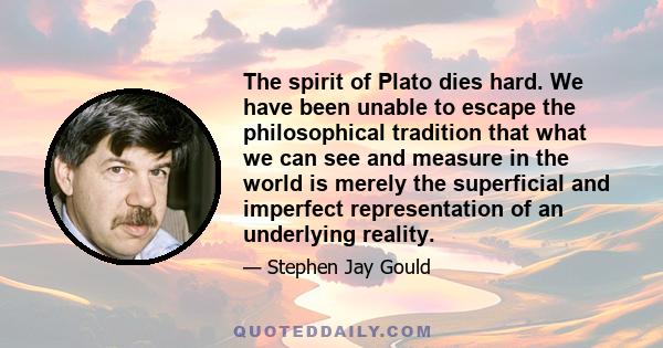 The spirit of Plato dies hard. We have been unable to escape the philosophical tradition that what we can see and measure in the world is merely the superficial and imperfect representation of an underlying reality.